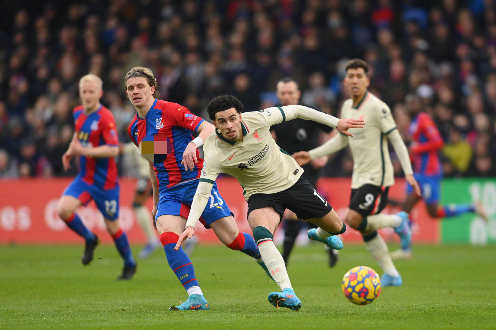 主教练强调 主教练强调